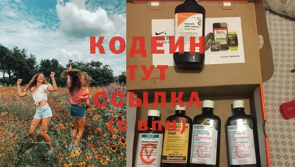 сатива Инта