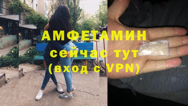 индика Алзамай