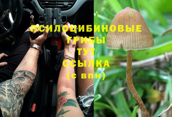 мяу мяу кристалл Алексеевка
